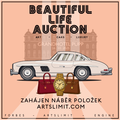 Beautiful life auction